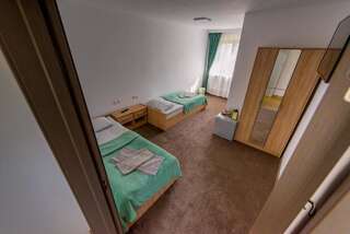 Отель Pensiune CasaMircea Бистрица Двухместный номер с 1 кроватью или 2 отдельными кроватями-11